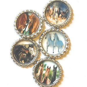 Horses Magnet Set